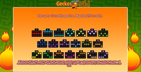 geckoswild1